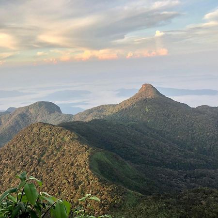 Hotel Mango Tree Nearest Adam'S Peak 날라탄니야 외부 사진