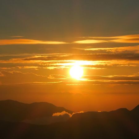 Hotel Mango Tree Nearest Adam'S Peak 날라탄니야 외부 사진