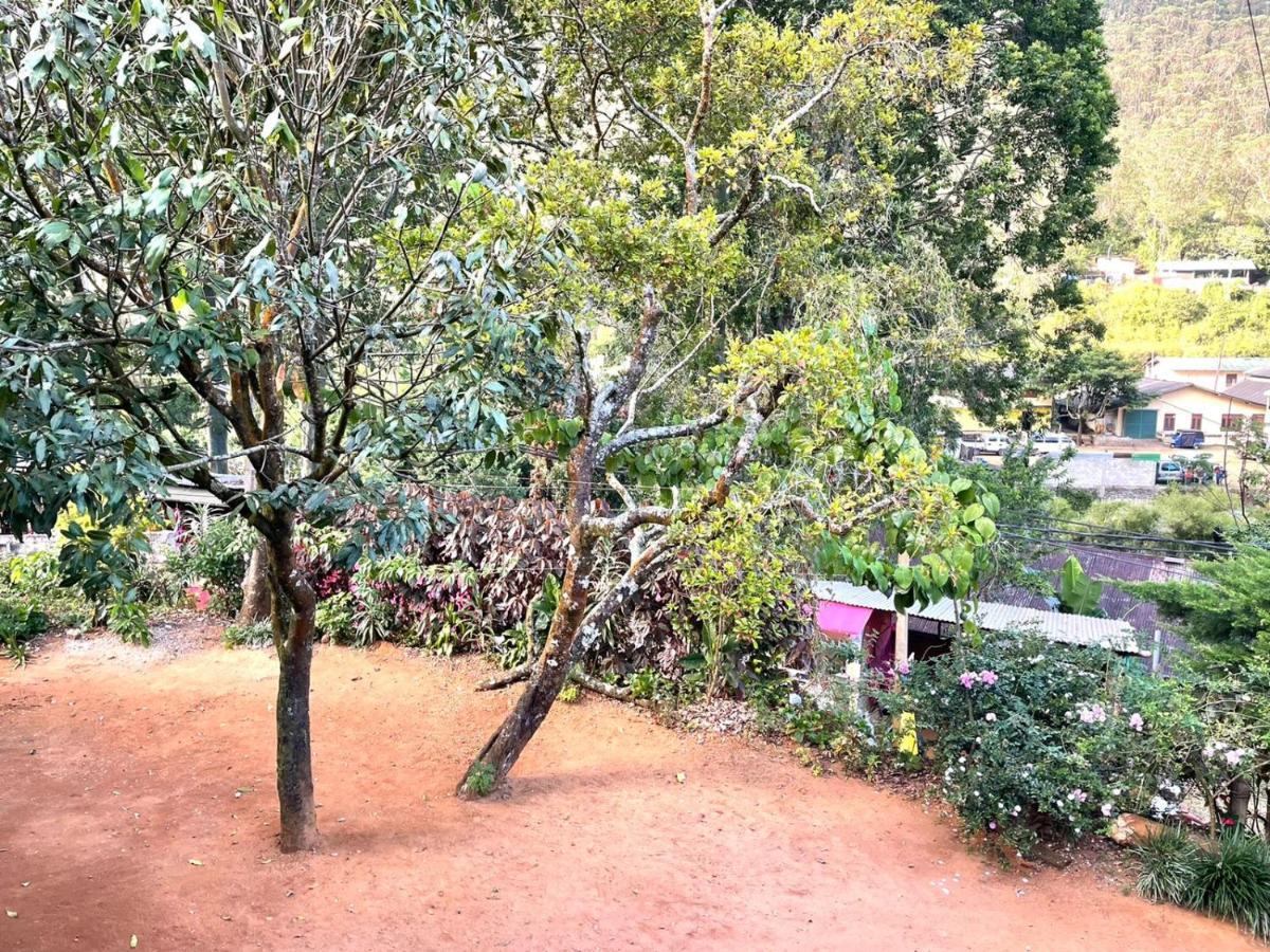 Hotel Mango Tree Nearest Adam'S Peak 날라탄니야 외부 사진