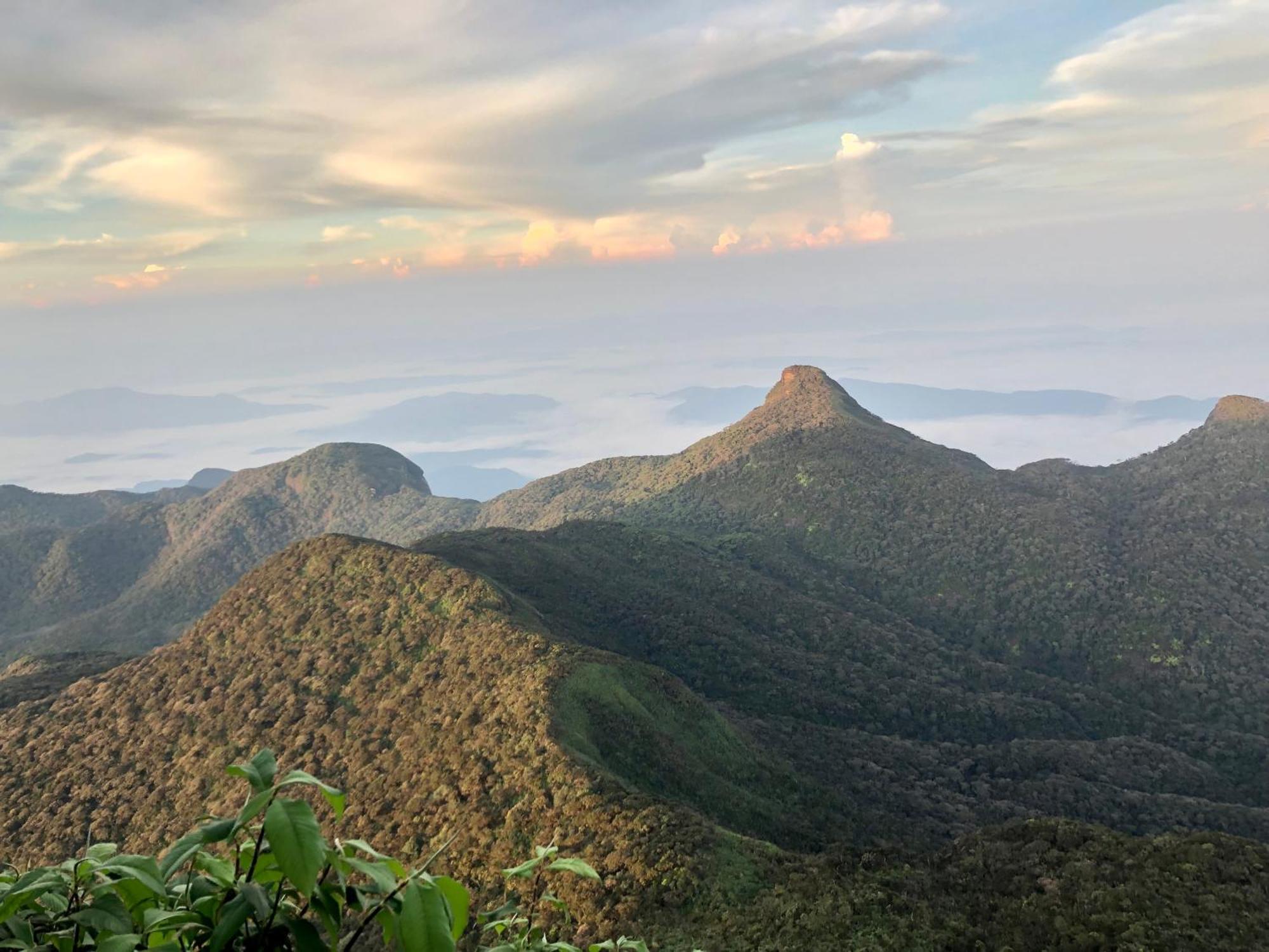 Hotel Mango Tree Nearest Adam'S Peak 날라탄니야 외부 사진