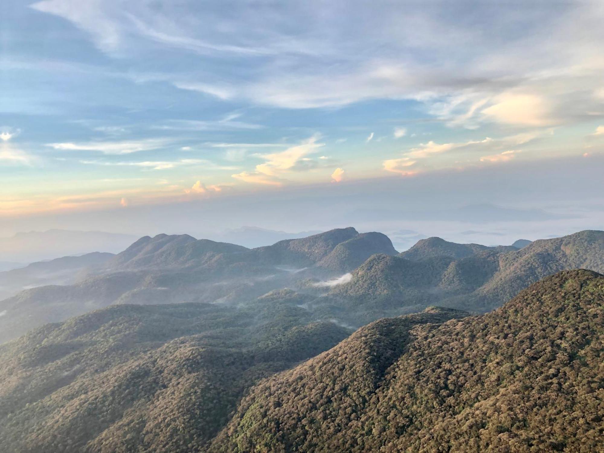 Hotel Mango Tree Nearest Adam'S Peak 날라탄니야 외부 사진