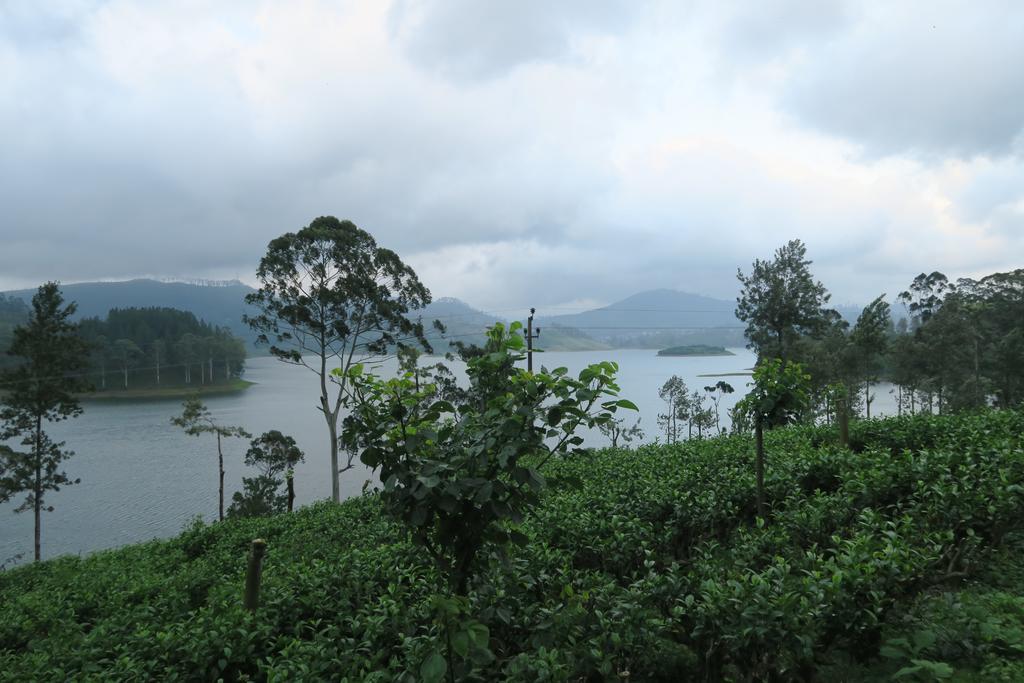 Hotel Mango Tree Nearest Adam'S Peak 날라탄니야 외부 사진