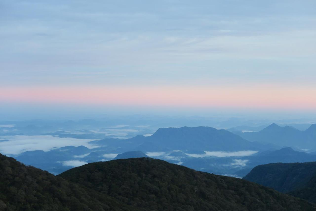 Hotel Mango Tree Nearest Adam'S Peak 날라탄니야 외부 사진
